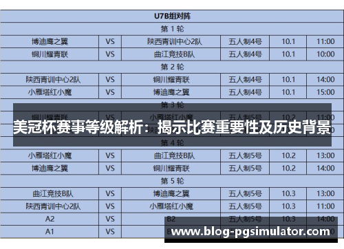 美冠杯赛事等级解析：揭示比赛重要性及历史背景