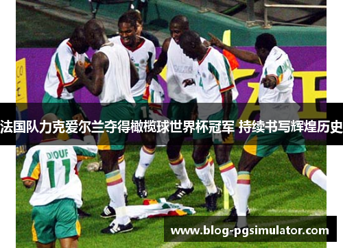 法国队力克爱尔兰夺得橄榄球世界杯冠军 持续书写辉煌历史